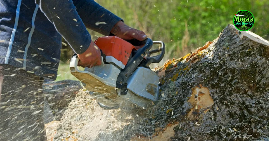 Service Image